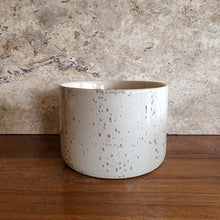 Load image into Gallery viewer, The Leaferie colby shallow planter . white ceramic with speckled . front view
