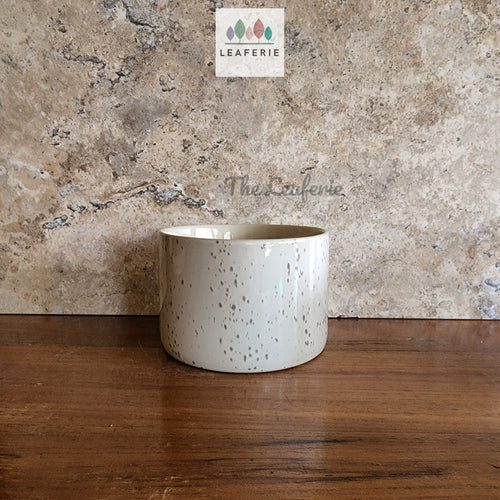 The Leaferie colby shallow planter . white ceramic with speckled . front view