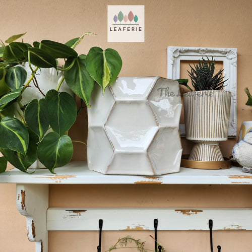 The Leaferie Bedford ceramic beige pot