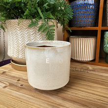 Load image into Gallery viewer, The Leaferie Mini pots series 2. 15 designs . ceramic small planter. view of design E
