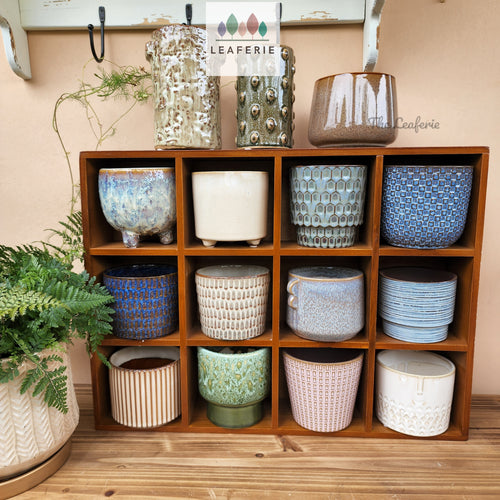 The Leaferie Mini pots series 2. 15 designs . ceramic small planter. view of all 15 designs.