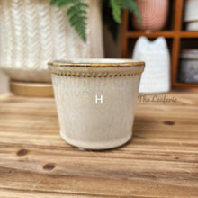 Load image into Gallery viewer, Petit Pots Series 5
