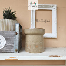 Load image into Gallery viewer, The Leaferie Ari plant pot .front view
