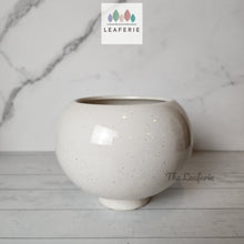 Load image into Gallery viewer, The Leaferie Odette white round ceramic pot.

