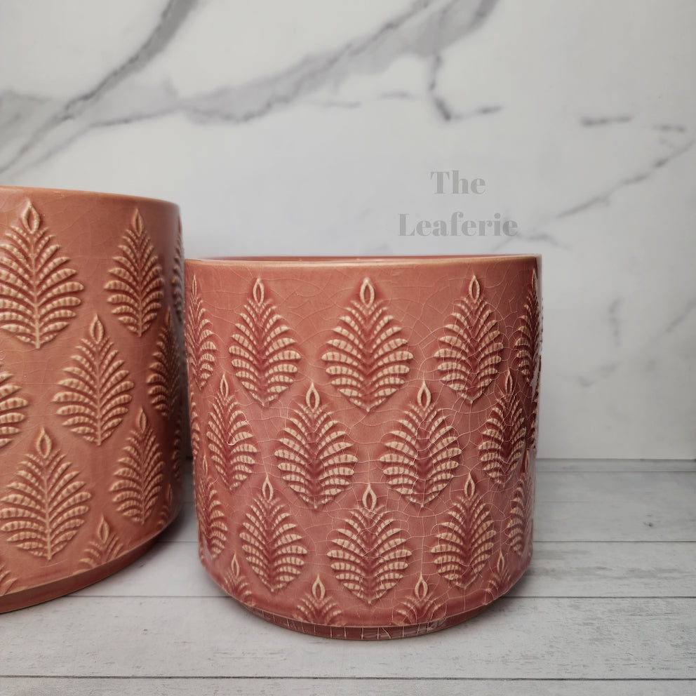 The Leaferie Liana red ceramic pot