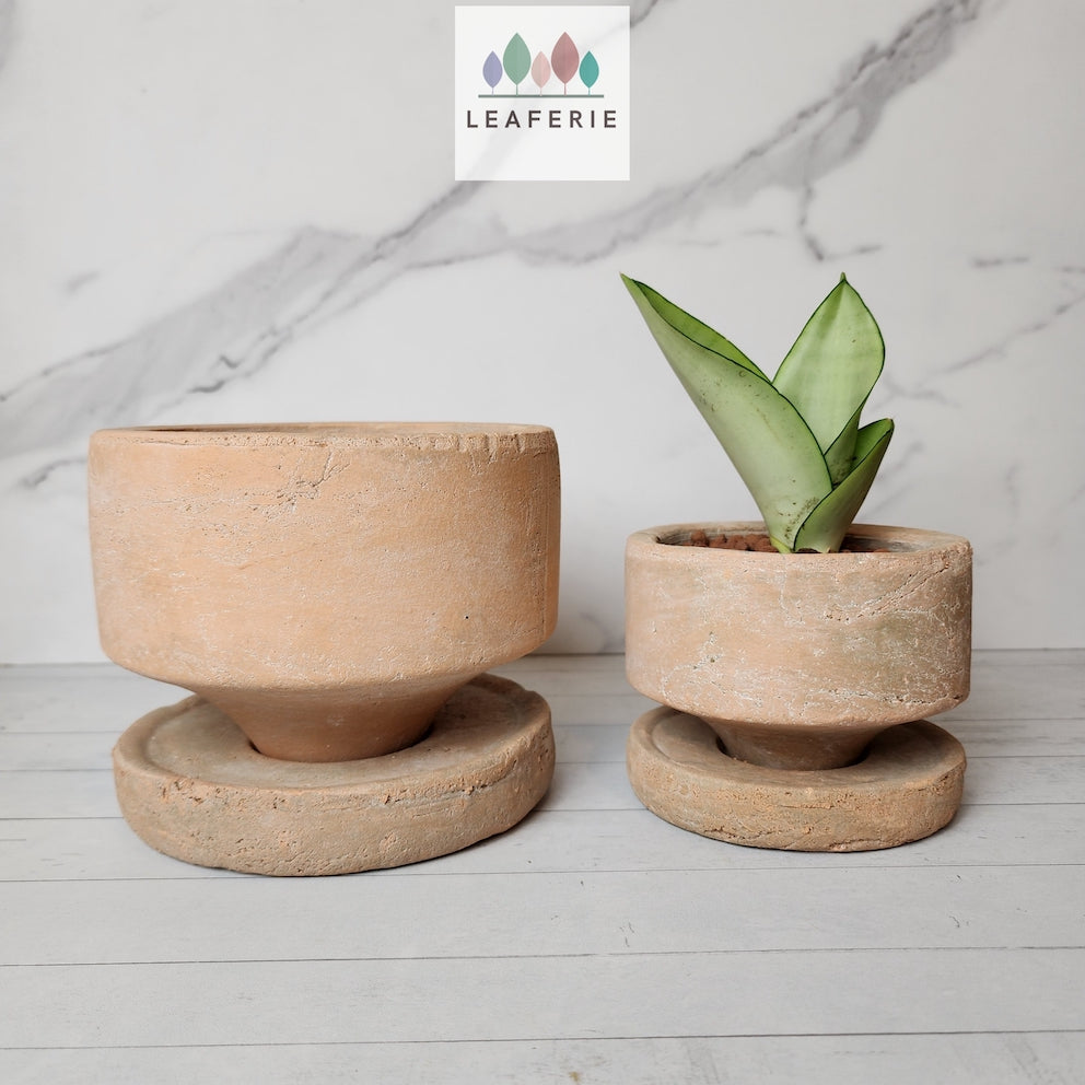 The Leaferie Pascale terracotta pot with tray. 2 sizes. Front view of both sizes