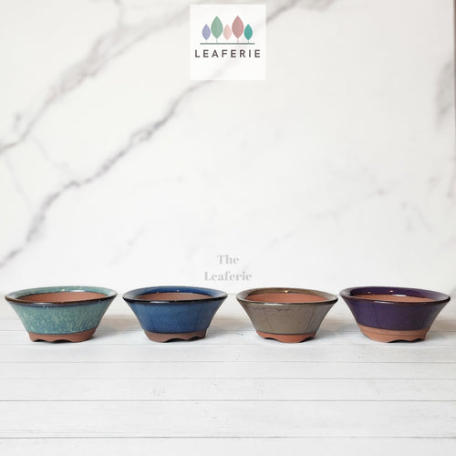 The Leaferie Petit Bonsai pot. ceramic and 4 colours