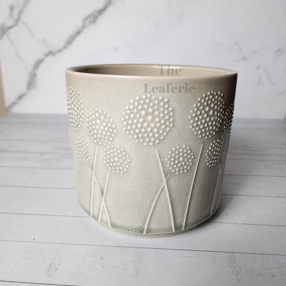 The Leaferie Dandelion Flowerpot ceramic plant pot with 2 designs. front view of Design B Maxi size
