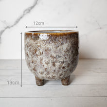 Load image into Gallery viewer, The Leaferie Capucine ceramic plant pot. 3 designs . front view. size
