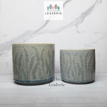 Load image into Gallery viewer, The Leaferie Huguette plant pot . front view

