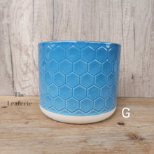 Load image into Gallery viewer, The Leaferie Cossette mini flowerpot 13 designs. front view of Design G
