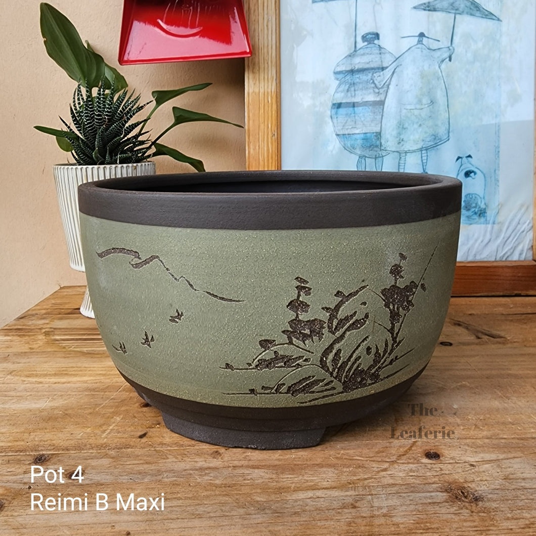As-Is Pots Batch January 2023 (11 items)