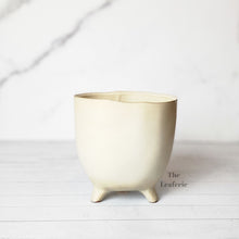 Load image into Gallery viewer, The Leaferie Anelle Ceramic flowerpot . front view for Design B. white pot
