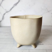 Load image into Gallery viewer, The Leaferie Anelle Ceramic flowerpot . front view for Design B . White pot

