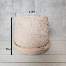 Load image into Gallery viewer, The Leaferie Tillie terracotta pot with matching tray. rugged and aesthetic flowerpot. front view with size
