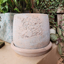 Load image into Gallery viewer, The Leaferie Tillie terracotta pot with matching tray. rugged and aesthetic flowerpot. front view
