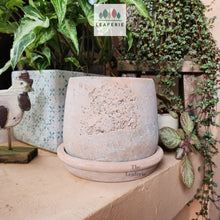 Load image into Gallery viewer, The Leaferie Tillie terracotta pot with matching tray. rugged and aesthetic flowerpot. front view
