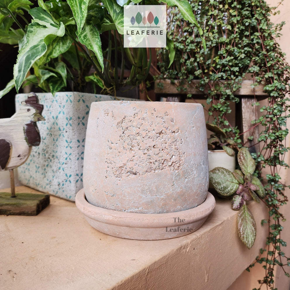 The Leaferie Tillie terracotta pot with matching tray. rugged and aesthetic flowerpot. front view