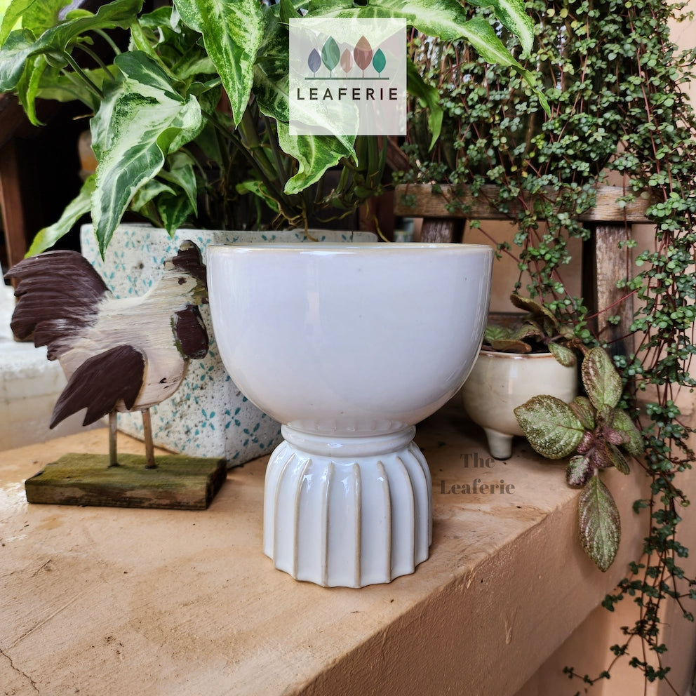 The Leaferie Ardara ceramic white plant pot. front view