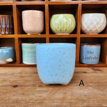 Load image into Gallery viewer, The Leaferie Petit pots series 6 . 12 ceramic small pots. suitable for succulents. Design A
