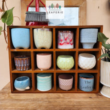 Load image into Gallery viewer, The Leaferie Petit pots series 6 . 12 ceramic small pots. suitable for succulents
