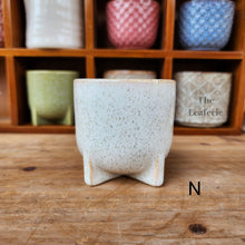 Load image into Gallery viewer, The Leaferie Petit pots series 7. 17 designs ceramic planter. suitable for succulents. design N
