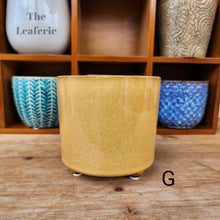 Load image into Gallery viewer, The Leaferie Mini pots series 3 . 12 designs ceramic small pots. view of design G
