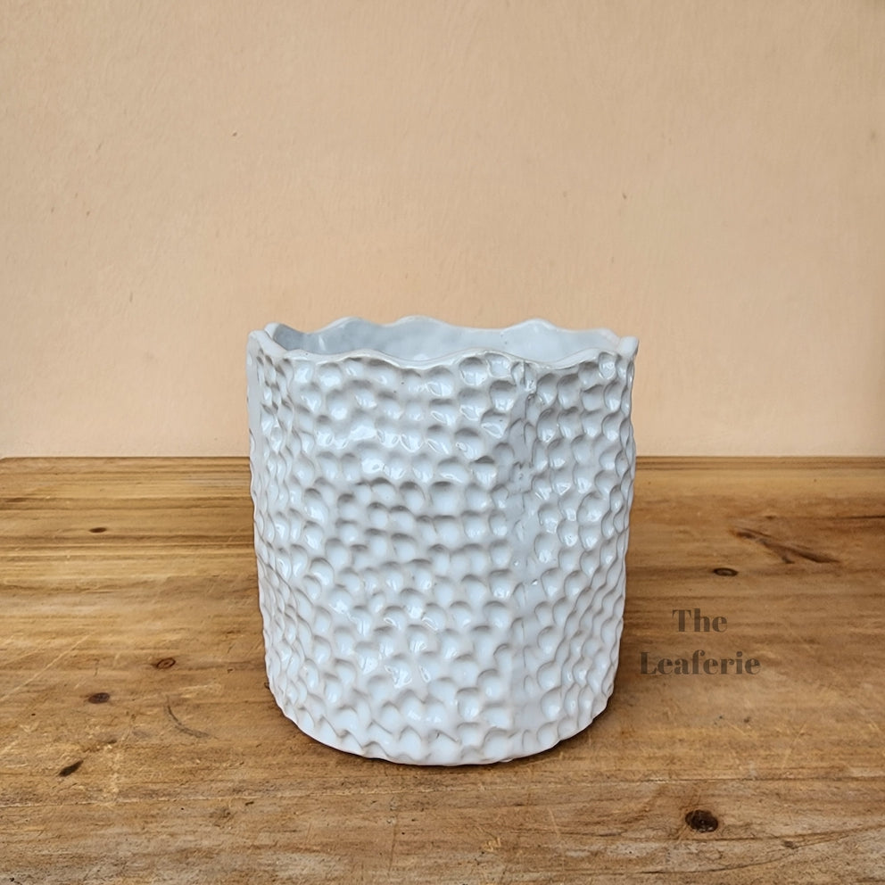 The Leaferie Zacharie flowerpot. ceramic red and white pot. white