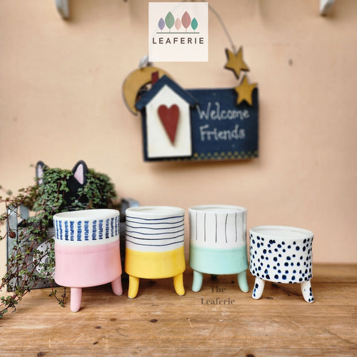 The Leaferie Rosalie mini pot with stand. 4 designs ceramic pot