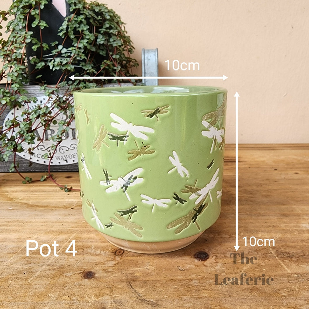 As-Is Pots Batch February 2023 (8 items)