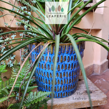 Load image into Gallery viewer, The Leaferie Finola plant pot. ceramic blue planter . front view with plant
