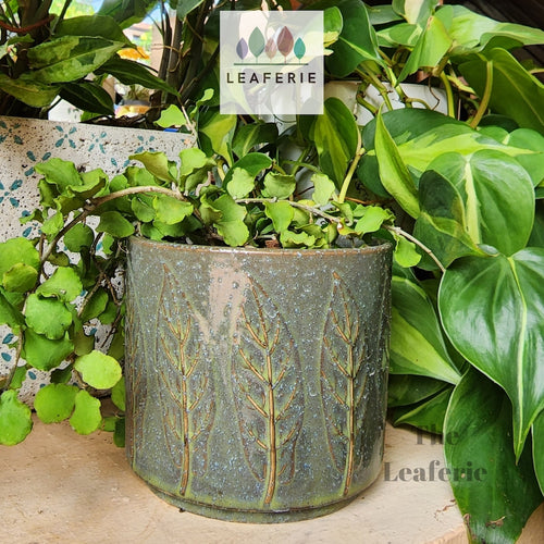 The Leaferie Riona leaf green ceramic flowerpot