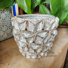 Load image into Gallery viewer, The Leaferie Bevin plant pot . ceramic flowerpot . front view close up
