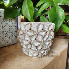 Load image into Gallery viewer, The Leaferie Bevin plant pot . ceramic flowerpot . front view 
