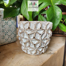 Load image into Gallery viewer, The Leaferie Bevin plant pot . ceramic flowerpot . front view 
