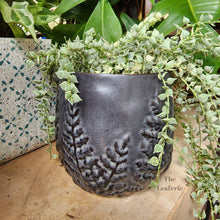 Load image into Gallery viewer, The Leaferie colleen ceramic plant pot. 2 colours black and white planter. front view of design B with plant
