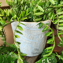 Load image into Gallery viewer, The Leaferie Eilish flowerpot . leaf imprint ceramic planter. front view with plant
