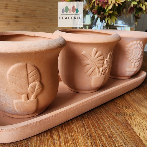 Asling terracotta pot. front view. 