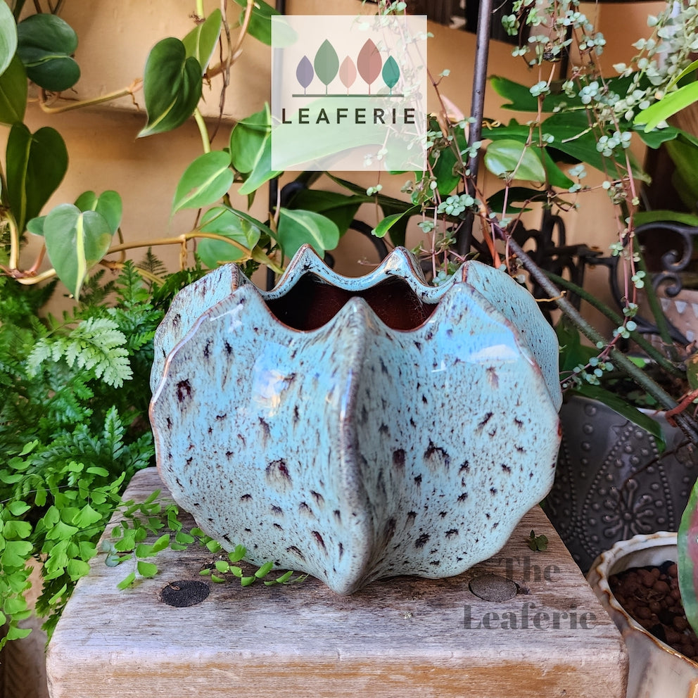 The Leaferie Ghislain blue ceramic pot