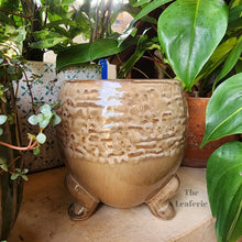 Load image into Gallery viewer, The Leaferie Francois plant pot. ceramic material. front view

