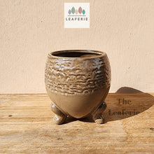 Load image into Gallery viewer, The Leaferie Francois plant pot. ceramic material. front view
