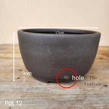 Load image into Gallery viewer, As-Is Pots Batch March 2023 (12 items)
