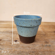 Load image into Gallery viewer, As-Is Pots Batch March 2023 (12 items)
