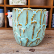 Load image into Gallery viewer, The Leaferie MIni Pots Series 4. 15 ceramic small pots designs. view of designs J

