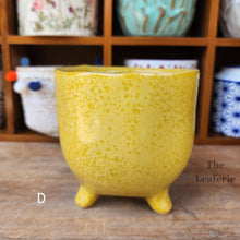 Load image into Gallery viewer, The Leaferie MIni Pots Series 4. 15 ceramic small pots designs. view of designs D
