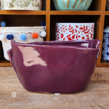 Load image into Gallery viewer, The Leaferie MIni Pots Series 4. 15 ceramic small pots designs. view of designs B
