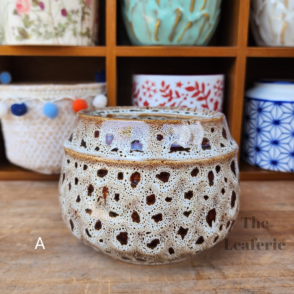 The Leaferie MIni Pots Series 4. 15 ceramic small pots designs. view of designs A