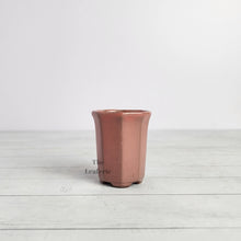 Load image into Gallery viewer, Petit Bonsai Pot (Series 7)
