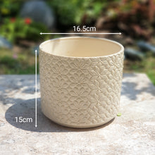 Load image into Gallery viewer, The Leaferie Babylon pot . front view . white ceramic pot with plant. Measurement
