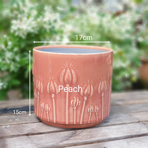 The Leaferie Poppy ceramic pot